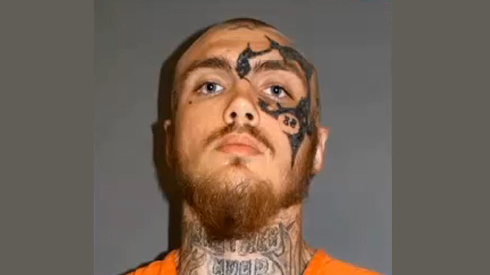 cheats/2015/04/14/n-c-college-shooting-suspect-arrested/150414-wayne-cc-suspect-cheat_zlovgx