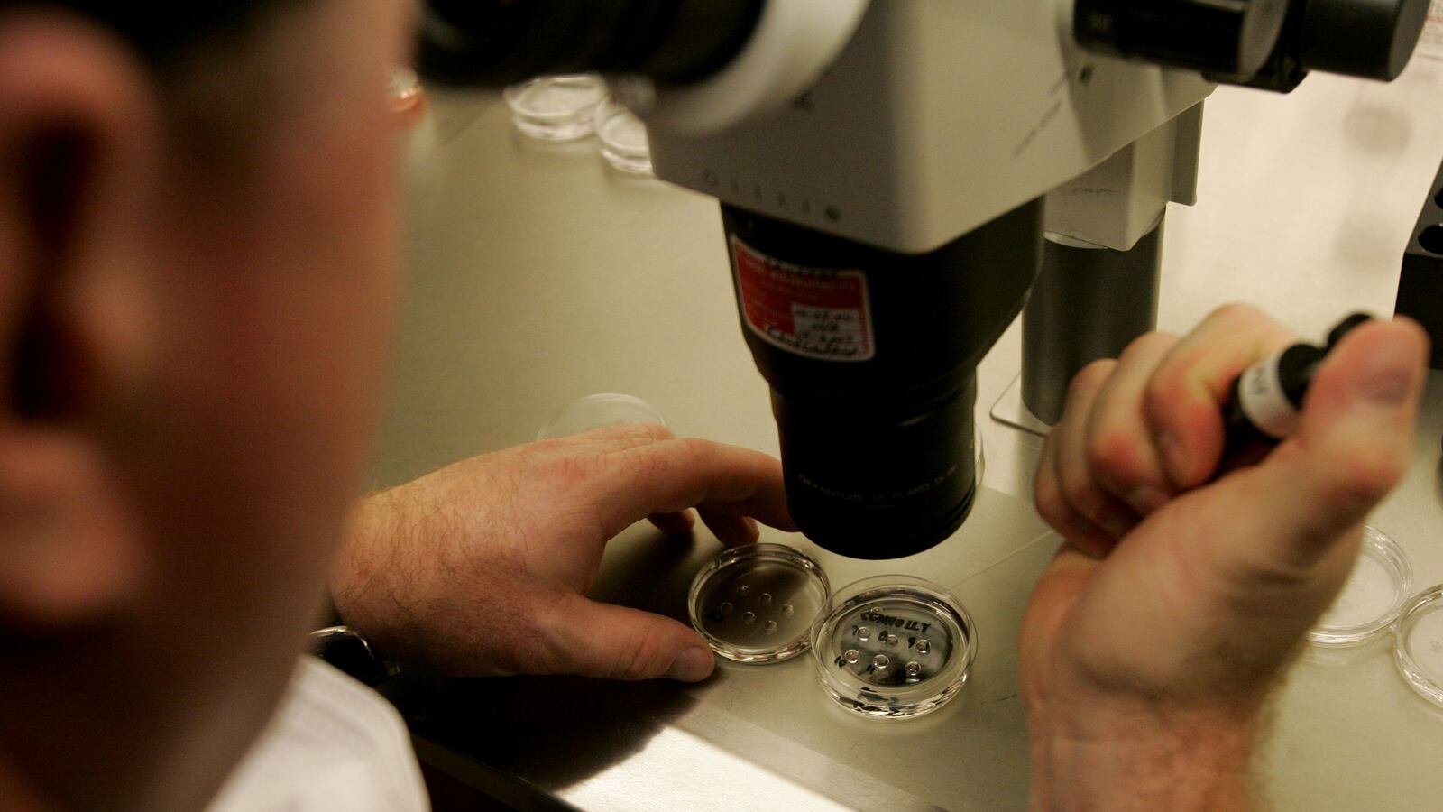 cheats/2013/04/15/scotus-debate-can-genes-be-patented/130415-dna-patent-cheat_ubrbnb