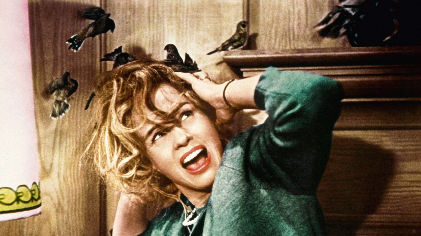 articles/2015/07/16/are-birds-the-new-sharks-the-danger-from-above/150715-teeman-birds-tease_j32ndy