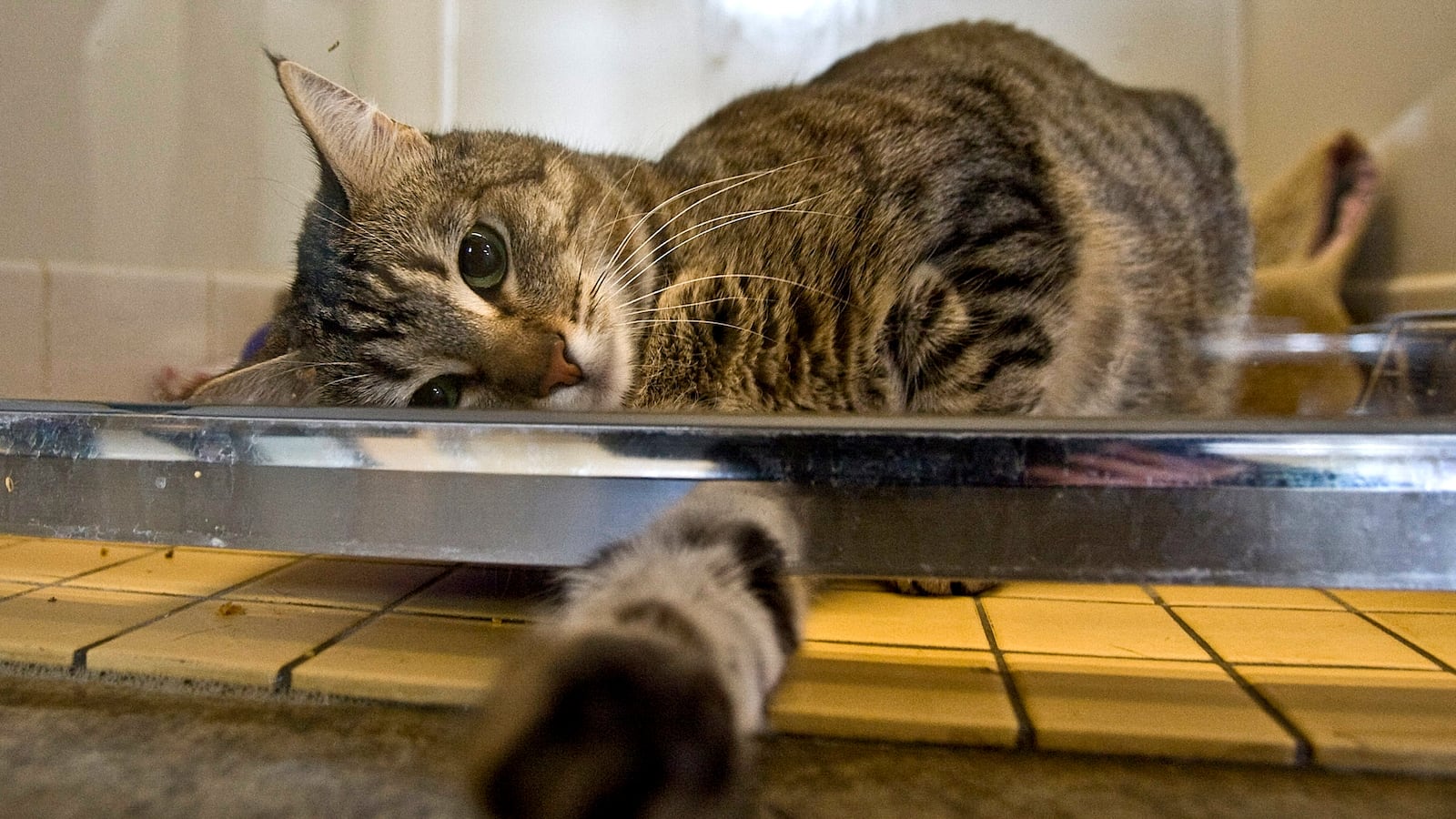 GettyImages-79471567_vhai3i