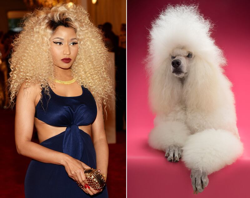 galleries/2013/05/07/met-gala-2013-guests-who-looked-like-animals/130507-gal-gala-animal-minaj_rttnkx