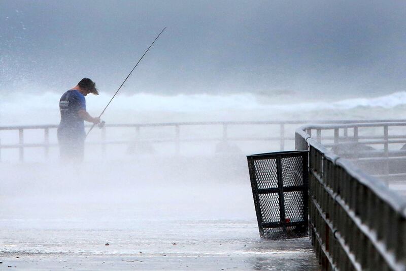 galleries/2012/11/06/sandy-s-shortages-power-gas-water-more-photos/sandy-shortage-fish_gkgl8o