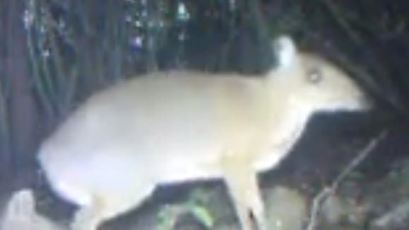 Screen_Shot_2019-11-12_at_7.39.28_PM_j9kpvh