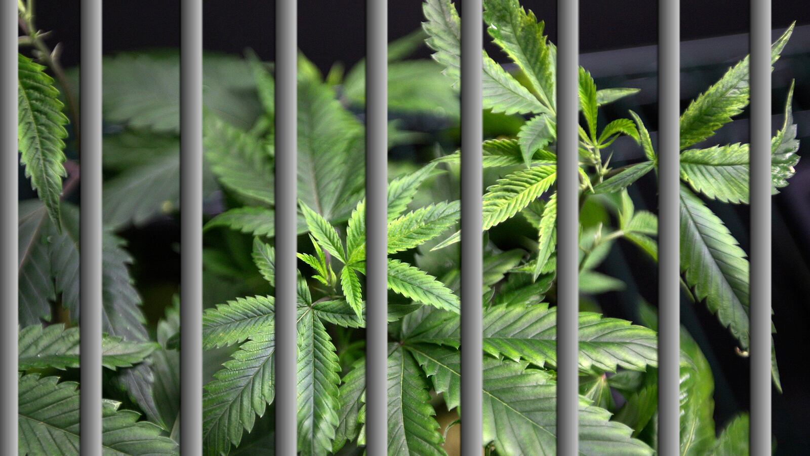 articles/2014/07/31/colorado-man-buys-former-prison-hoping-to-transform-it-into-a-pot-factory/140730-Haglage-pot-jail-tease_neha02