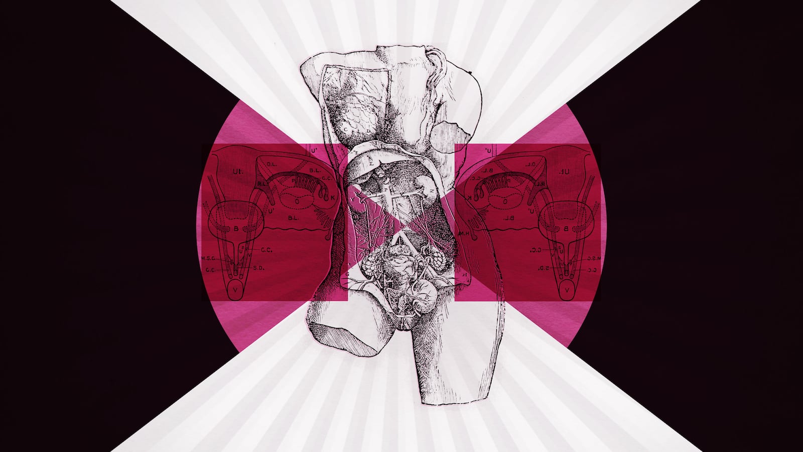 230321-haver-menopause-hero_l2ga6g