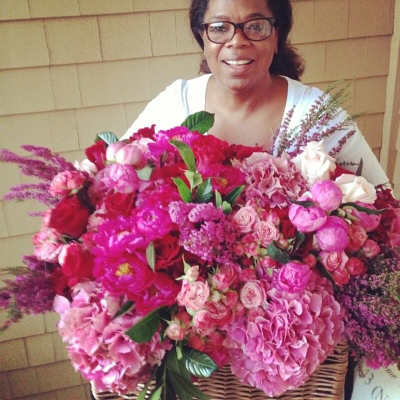 galleries/2014/02/02/meryl-streep-katy-perry-the-week-s-best-celebrity-selfies-photos/oprah_gr9rby