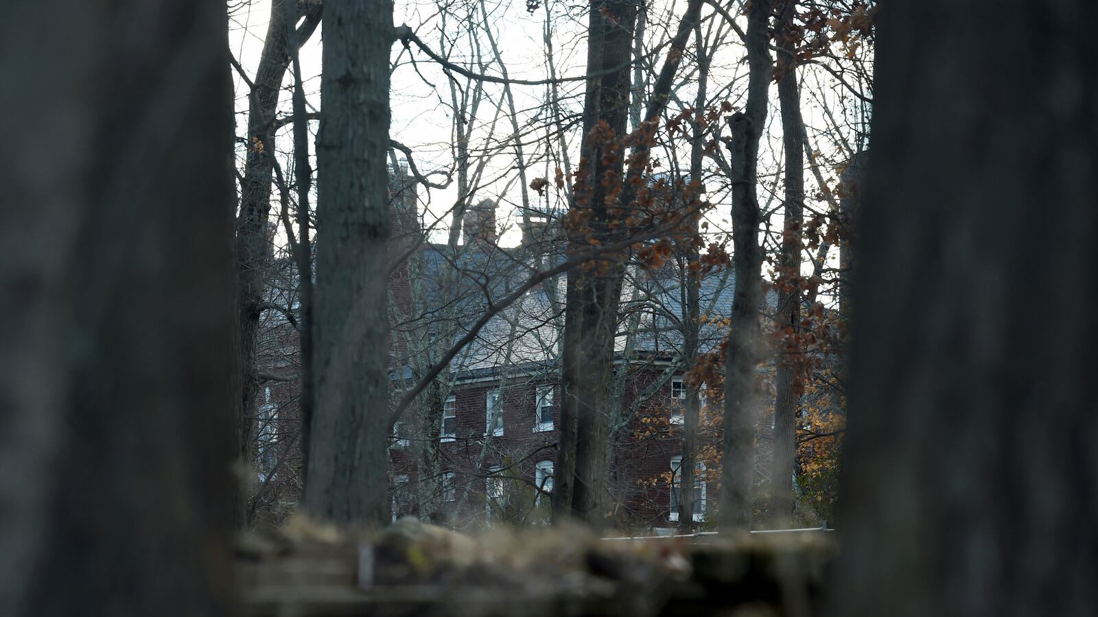 170531-russia-compound-cheat_ivjnn8