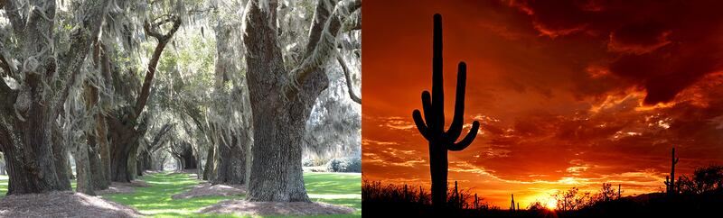 Posh-Travel_002_kjbnvc