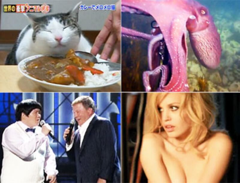 articles/2010/04/23/april-24-the-week-in-viral-videos/week-in-viral-423_96031_vpnvww