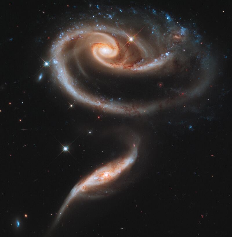 galleries/2013/09/13/galaxies-that-look-like-things-photos/130913-galaxies-that-look-like-things-rose_rpgczn