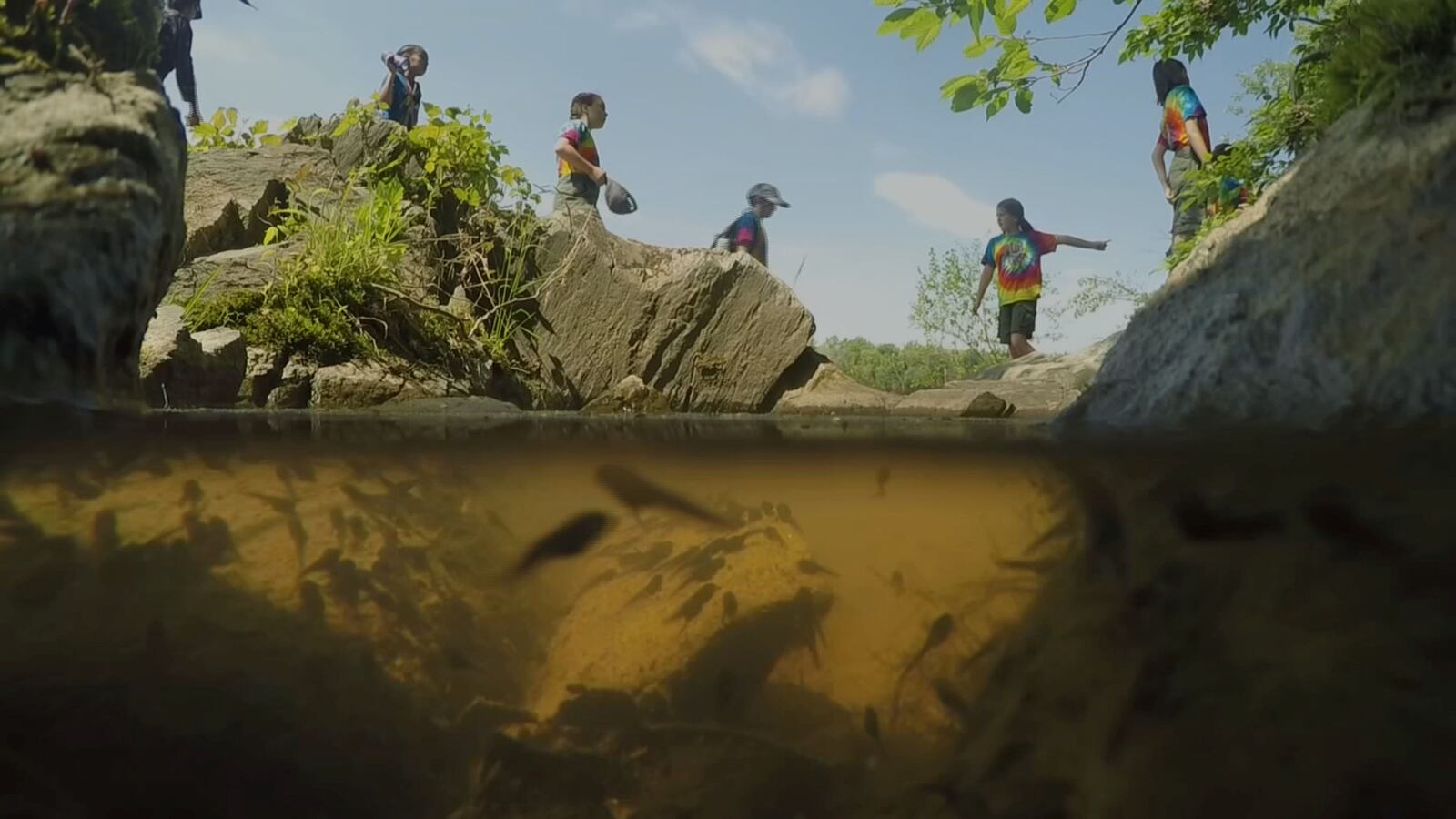 122620-boy-scouts-cheat_a6qml3