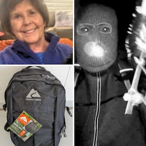 Images from FBI missing poster for Nancy Guthrie