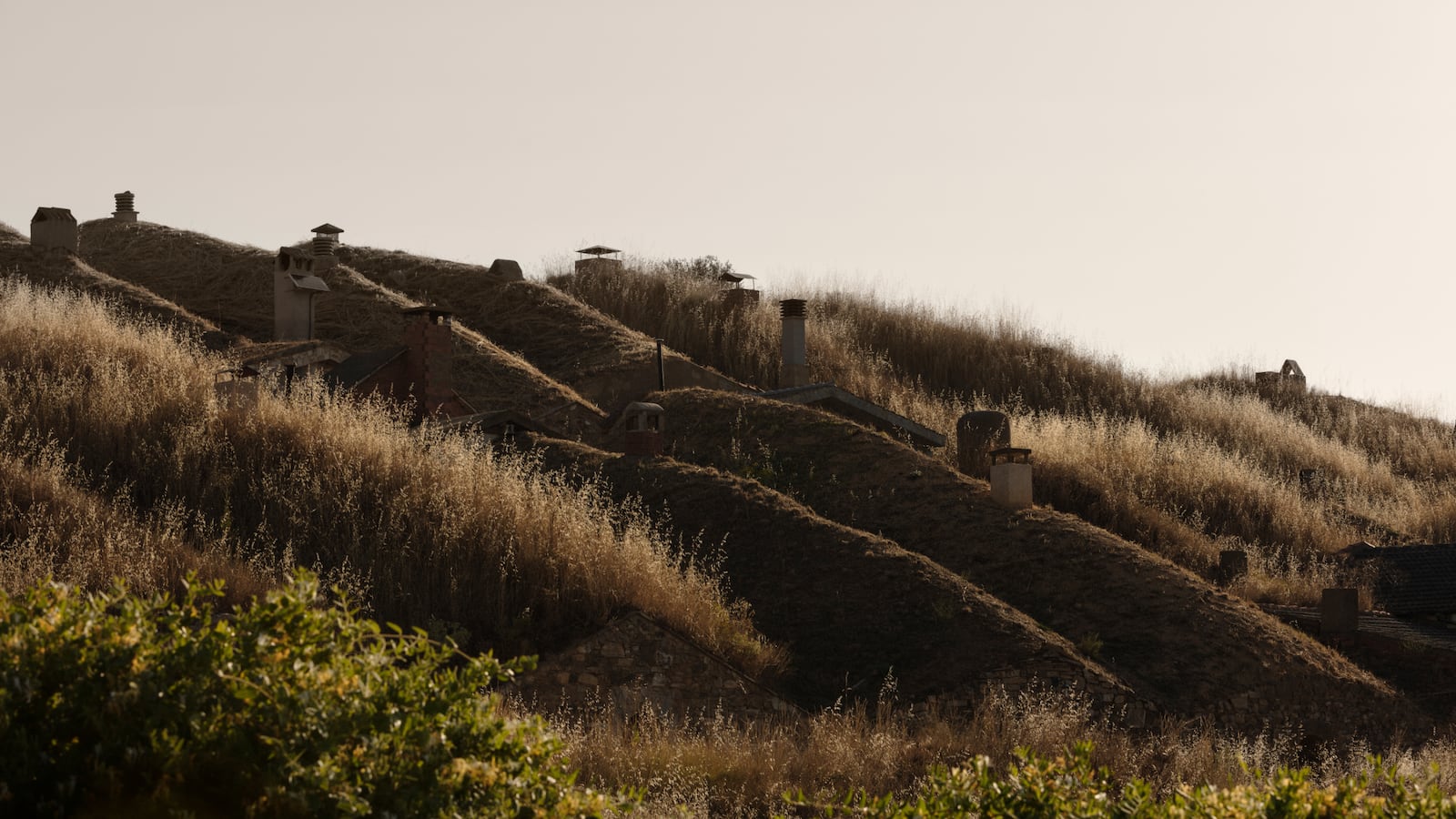 220707-el-capricho-tease_q8brb6