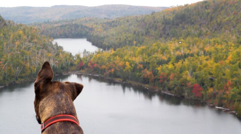 07_Frontenac_CREDIT_alyssa_hei_1024.jpg_y2brpr