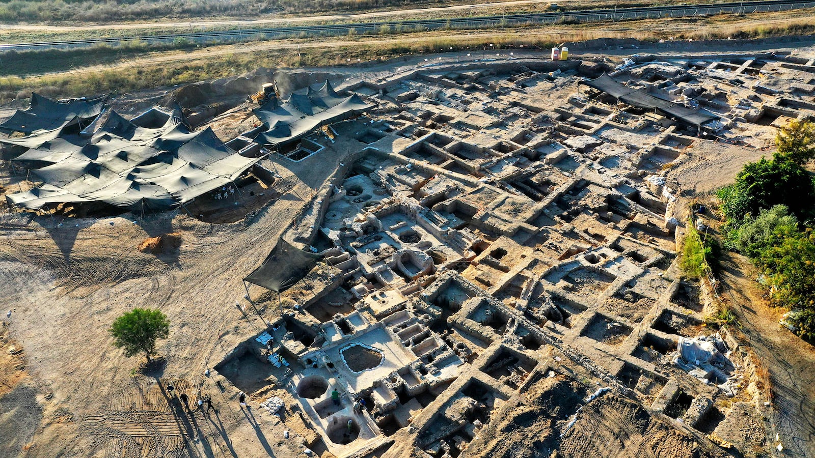 211113-Moss-hangover-prevention-ring-tease_huunll