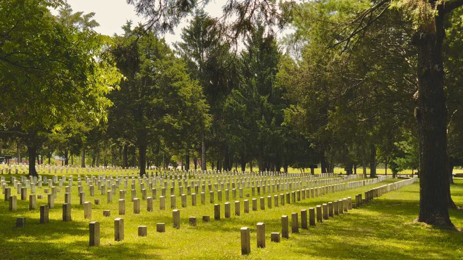 180703-Malcolm-jone-american-hero_voff7f