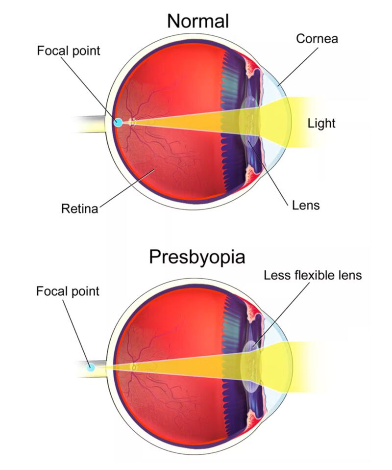Screen_Shot_2022-05-05_at_10.50.53_AM_faqzkk