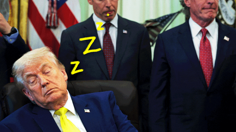 Donald Trump sleeping