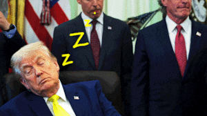 Donald Trump sleeping