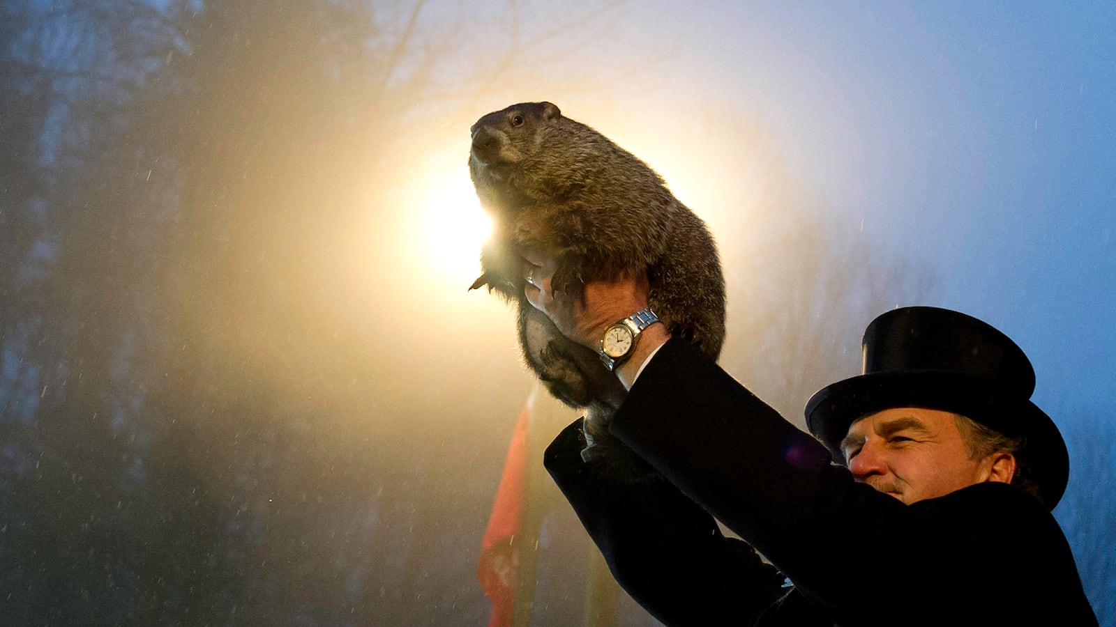 cheats/2014/02/02/6-more-weeks-of-winter/140202-groundhog-day-cheat_dzkbkq