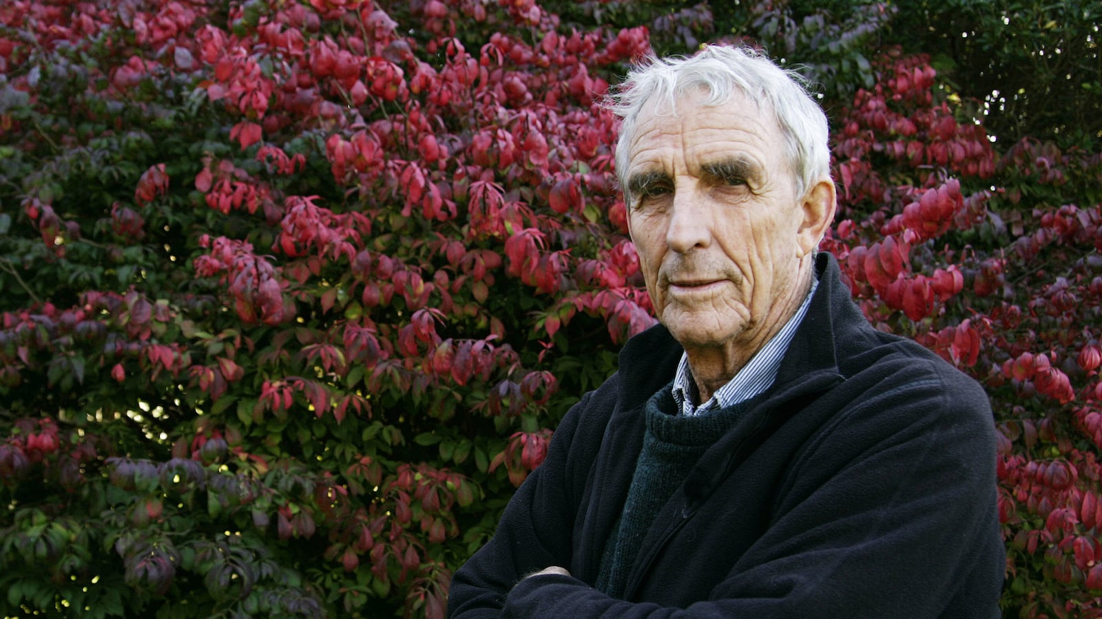 articles/2014/04/07/peter-matthiessen-was-one-of-the-greatest-writers-of-a-great-generation/140406-Peter-Matthiessen-tease_arq71s
