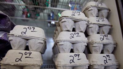 cheats/2010/08/19/egg-recall-raises-concerns-over-salmonella/egg-recall_cronge