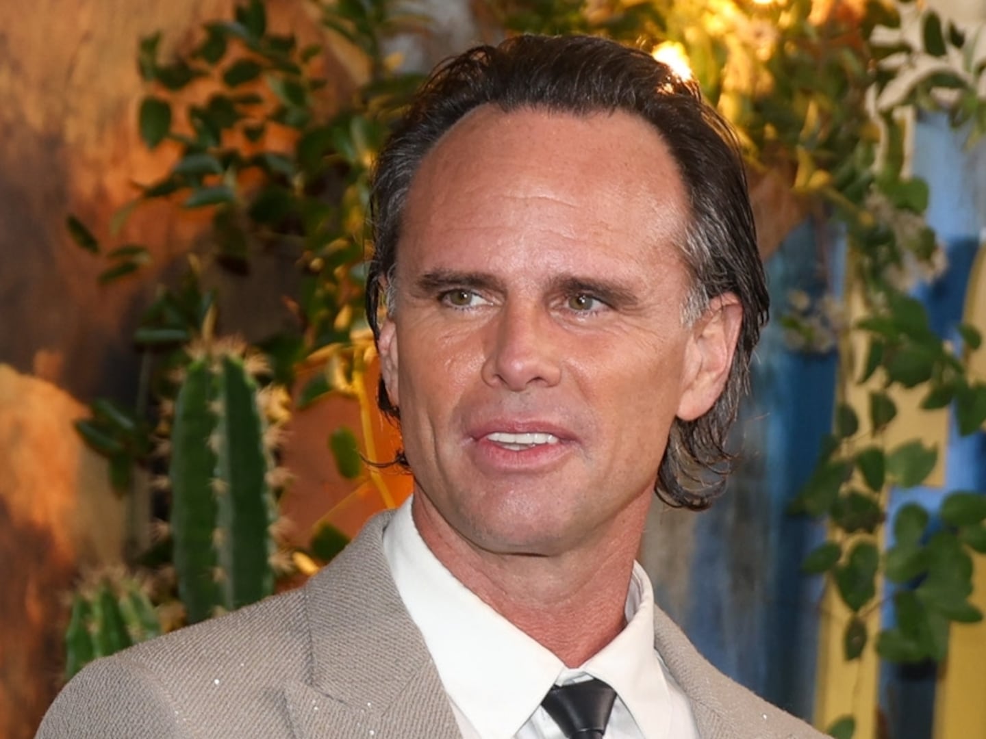 亚马逊因“辐射”AI回顾出错而将其下架