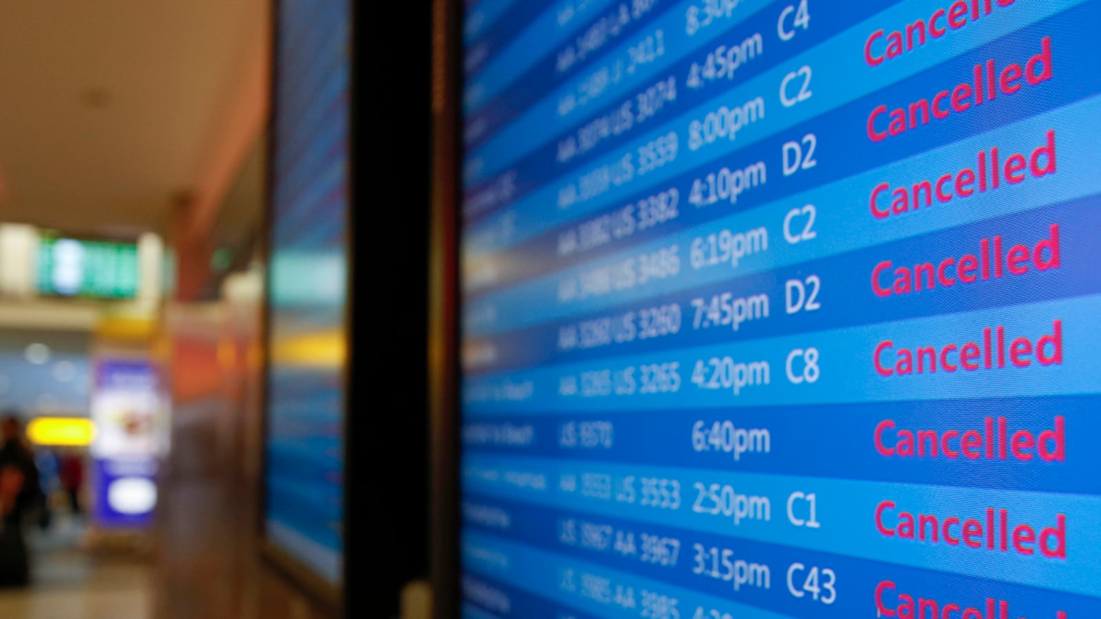 cheats/2016/01/22/4-5k-flights-canceled-ahead-of-blizzard/160122-cancellations-storm-cheat_tw6qk5