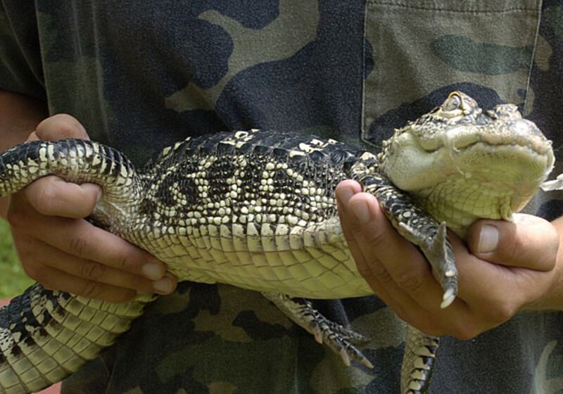 galleries/2009/11/30/father-son-and-the-holy-toast/religious-sightings-2_ioveqi