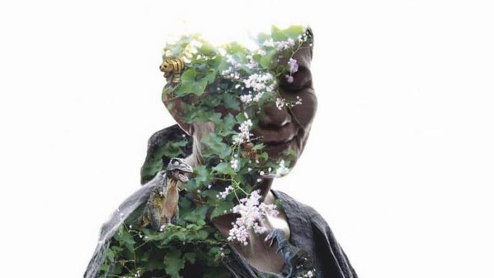 articles/2016/03/03/the-surreal-film-the-thai-government-doesn-t-want-you-to-see/160302-yamato-cemetary-tease_sx09uk