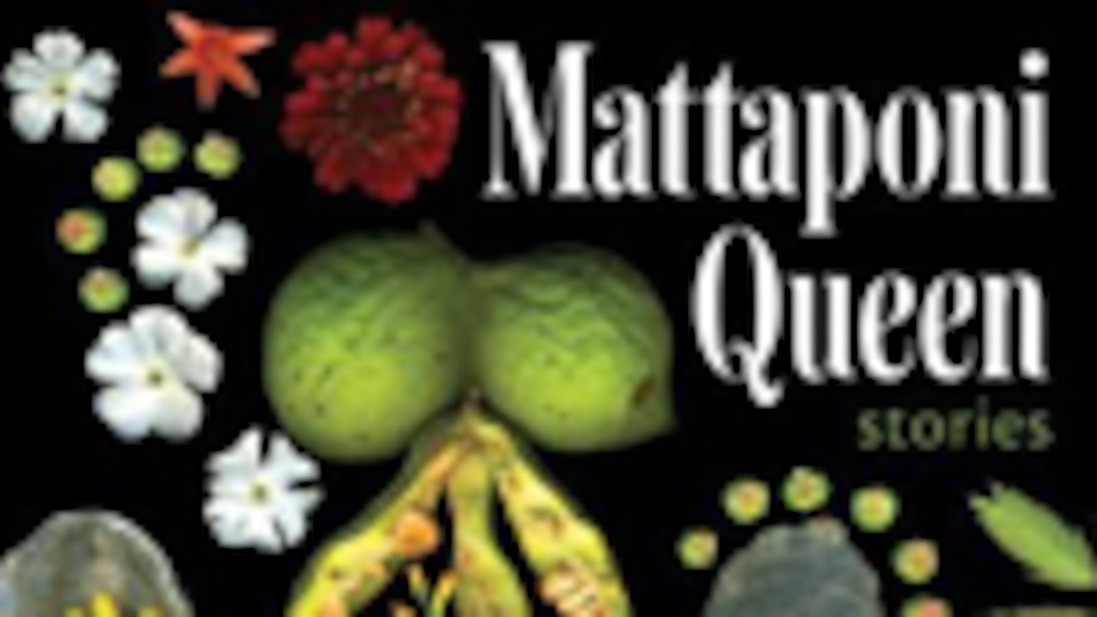 articles/2010/08/16/best-new-writers-1/book-cover---mattaponi-queen-stories_axml86