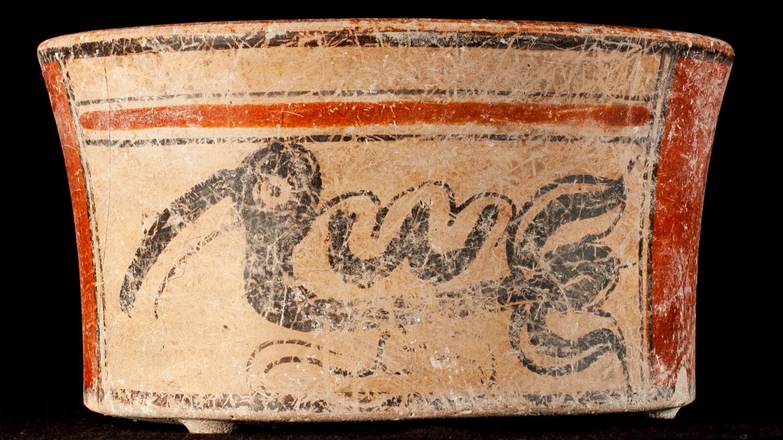 210326-moss-Apoch_Waal-tease_plevmq