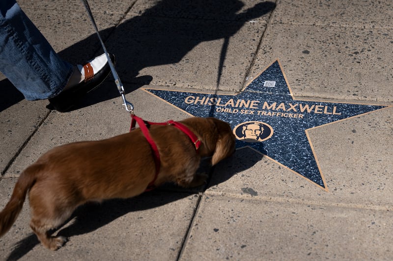 A person and a dog walk past a star with the name of Ghislaine Maxwell, an accomplice of convicted sex offender Jeffrey Epstein, along the "Jeffrey Epstein Walk of Shame," which features prominent names that appear in the Epstein files, near the White House on March 1, 2026, in Washington, DC.