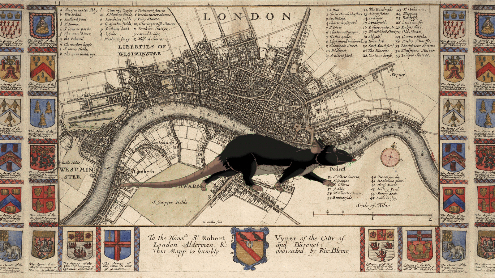 200223-irving-journal-of-the-plague-year-hero_sefhxj