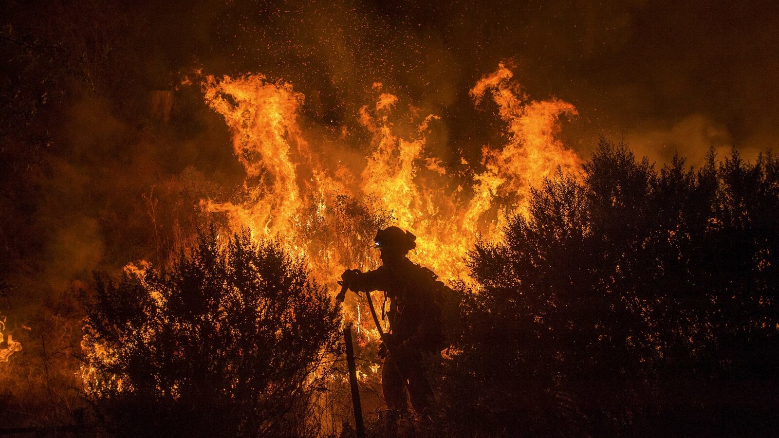 cheats/2016/08/15/california-wildfire-destroys-homes-forces-evacuations/160815-california-wildfires-cheat_rgw5av