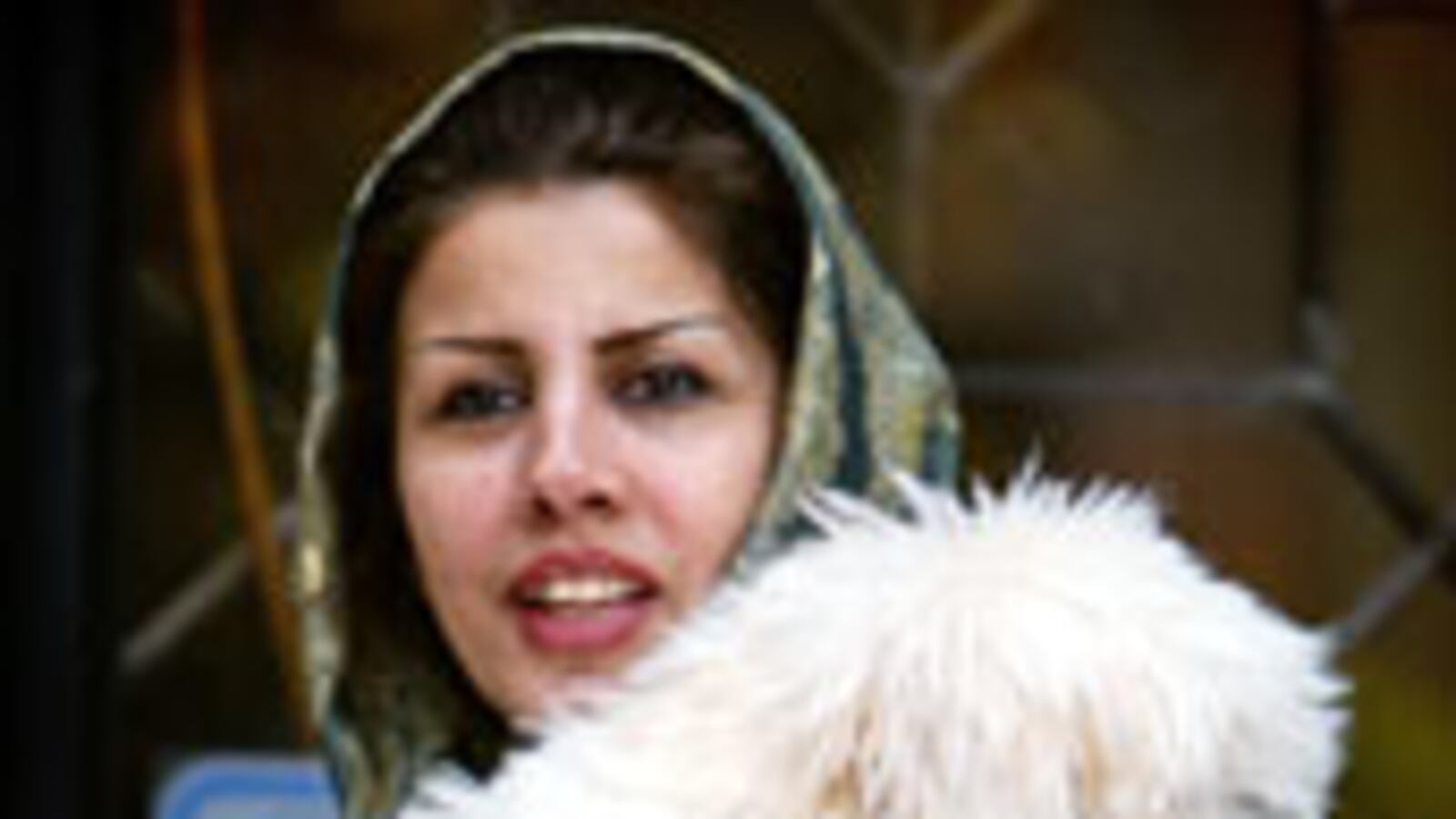 articles/2009/05/06/the-lighter-side-of-islam/macfarquhar-tehran-hot-dogs-excerpt_25543_iagyog