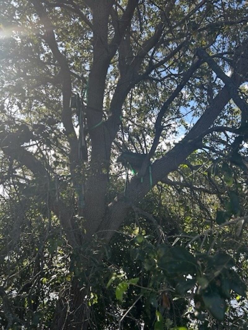 The item found by the FBI "During advance security preparations prior to the Palm Beach arrival, which included the use of technology and comprehensive physical sweeps, our teams identified items of interest near Palm Beach International Airport."