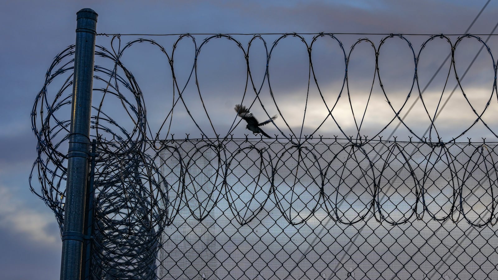 GettyImages-1236902641_cbj0cr