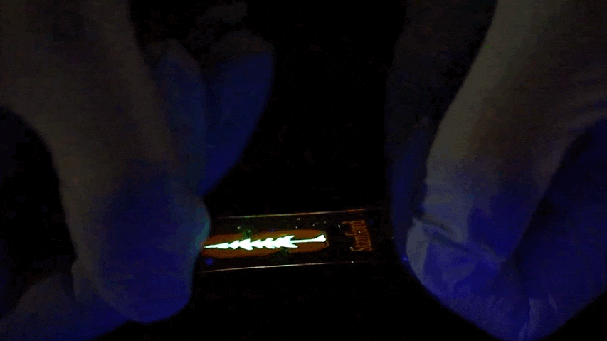 Mar-23-2022_13-02-35_vpjm9l