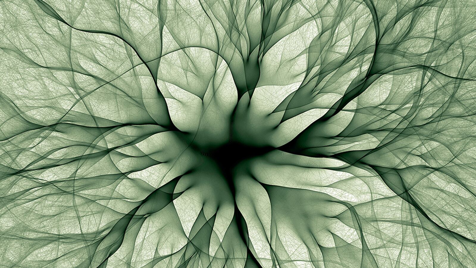 galleries/2016/01/09/mathematics-and-art/160108-gamwell-math-art-tease_dl7cpl