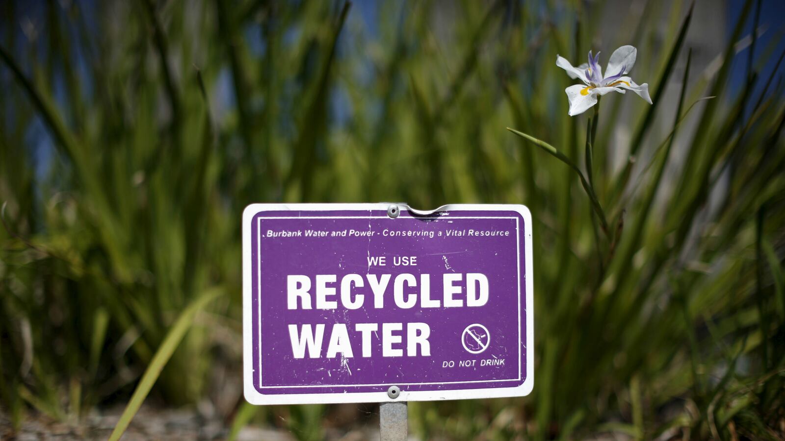 cheats/2015/03/23/california-rain-season-ends-up-all-dry/150323-california-cheat_whr35k