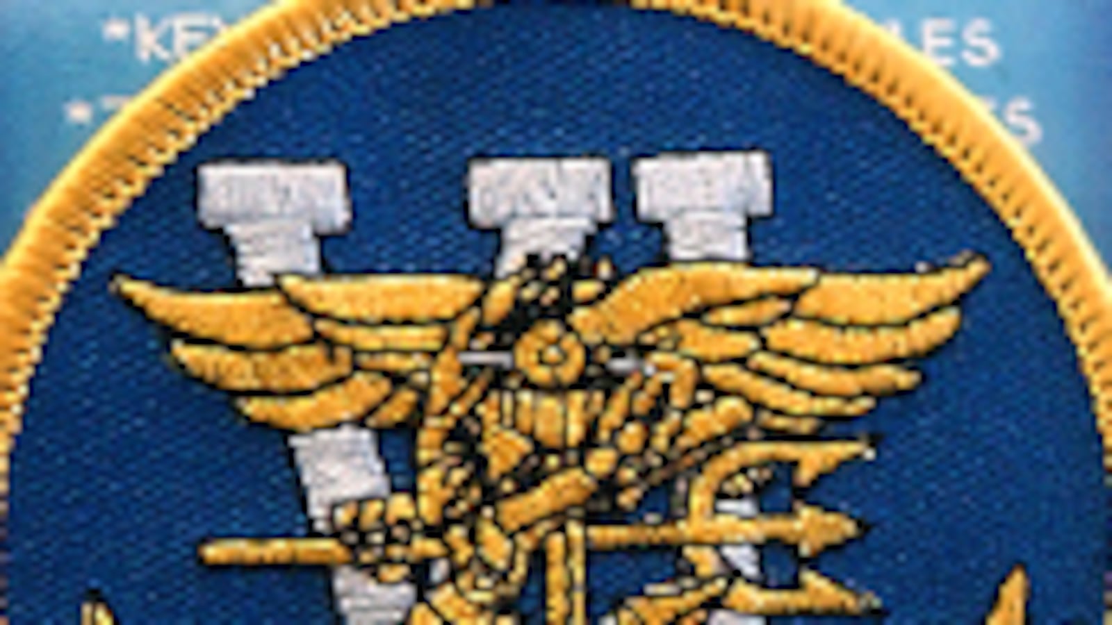 cheats/2011/05/26/disney-wont-trademark-seal-team-6/navy-seals-team-six_g87kbe