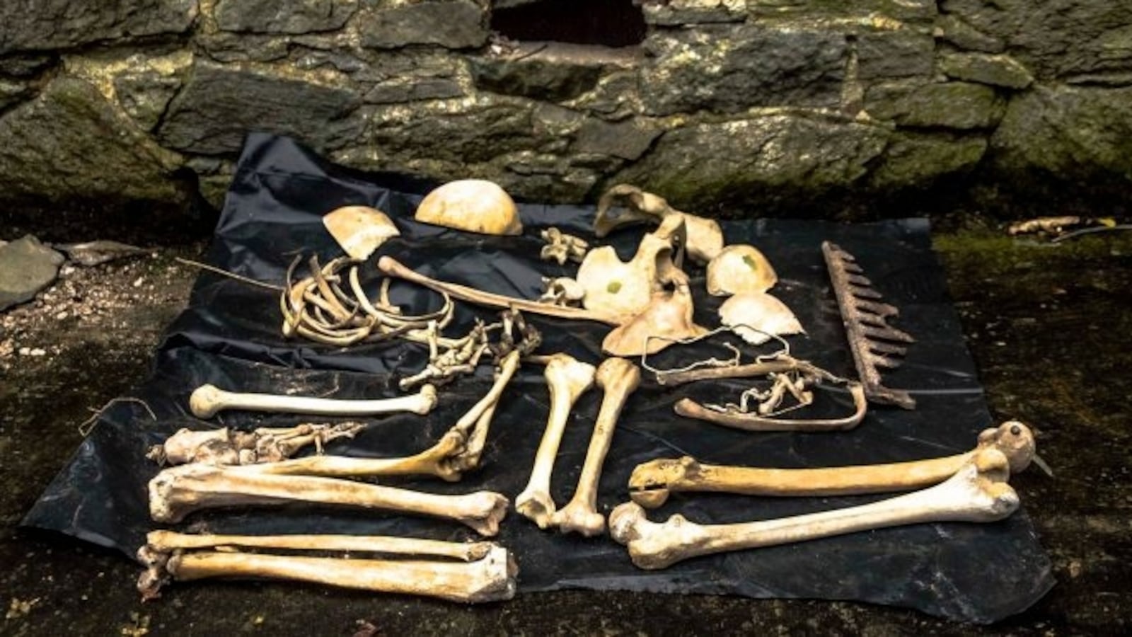 abbey_mtstbernardabbey_ilhija