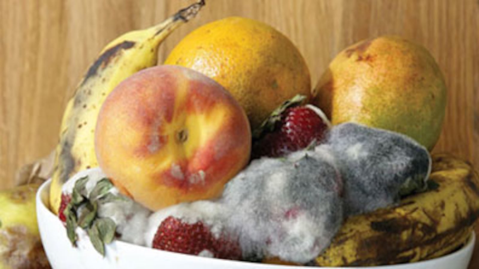 articles/2010/07/22/vice-photo-issue/vice-magazine-photo-issue_115239_bsyuqy