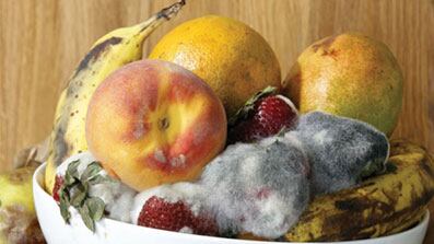 articles/2010/07/22/vice-photo-issue/vice-magazine-photo-issue_115239_bsyuqy