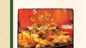 galleries/2010/09/22/most-dangerous-fries/dangerous-fries---chilis-texas-cheese-fries-with-chili-and-jalapeno-ranch_eaofff