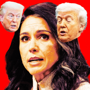 A gif of Donald Trump and Tulsi Gabbard.