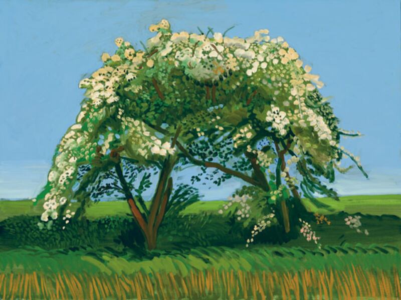 galleries/2009/11/25/david-hockney-s-landscapes/david-hockney-10_v6swdh