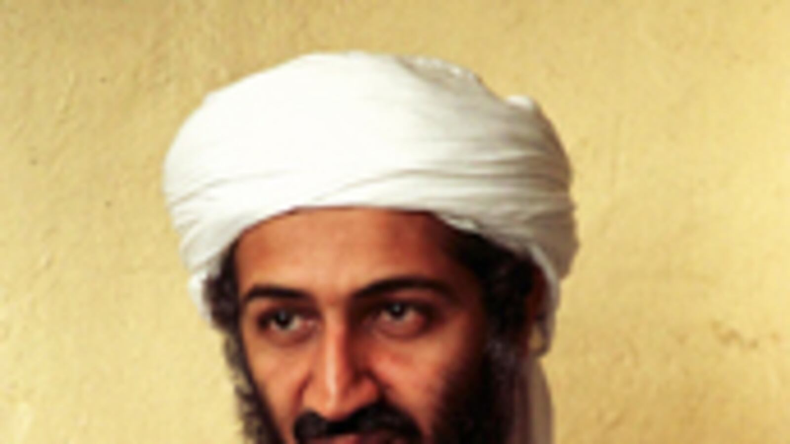 cheats/2011/05/13/new-details-from-seal-helmet-cams/twitter-bin-laden_177233_t47mlc