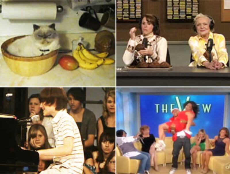 articles/2010/05/14/may-15-the-week-in-viral-videos/week-in-viral-513_100381_twtvpk